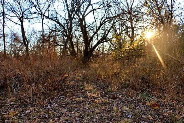 $95,000 | Southwest 1200th Rd Road, Blairstown, MO 64726