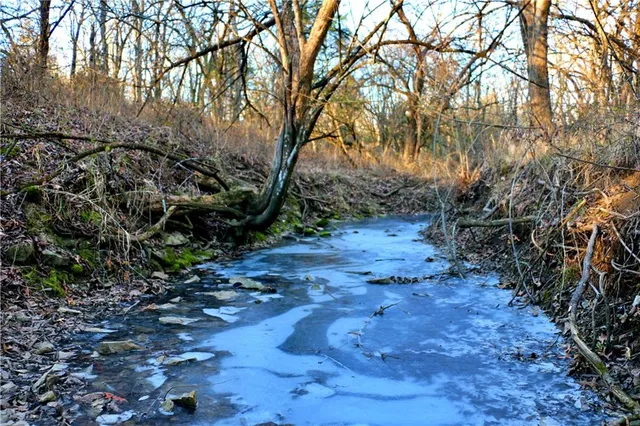 $95,000 | Southwest 1200th Rd Road, Blairstown, MO 64726