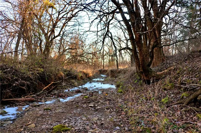 $95,000 | Southwest 1200th Rd Road, Blairstown, MO 64726