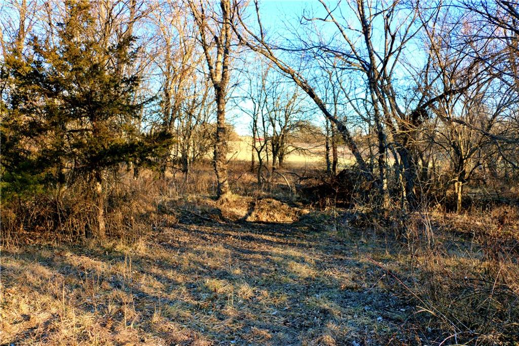 Southwest 1200th Rd Road Blairstown, MO 64726 - Photo 27 of 35