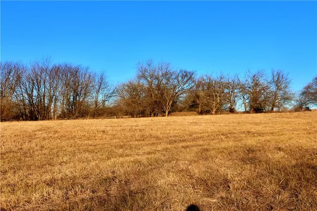 $95,000 | Southwest 1200th Rd Road, Blairstown, MO 64726