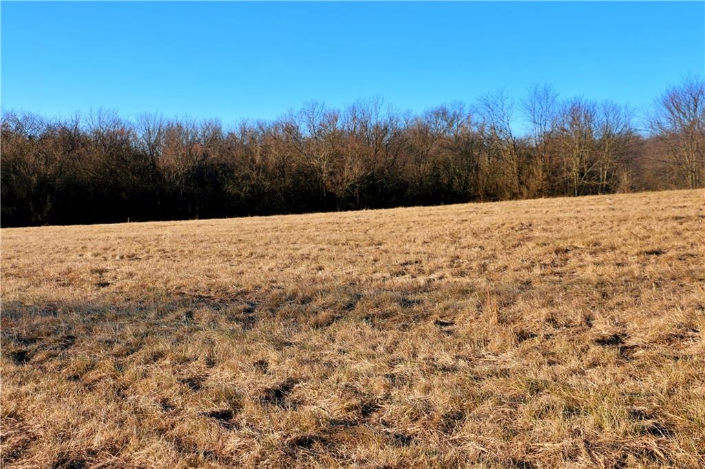 Southwest 1200th Rd Road Blairstown, MO 64726 - Photo 30 of 35