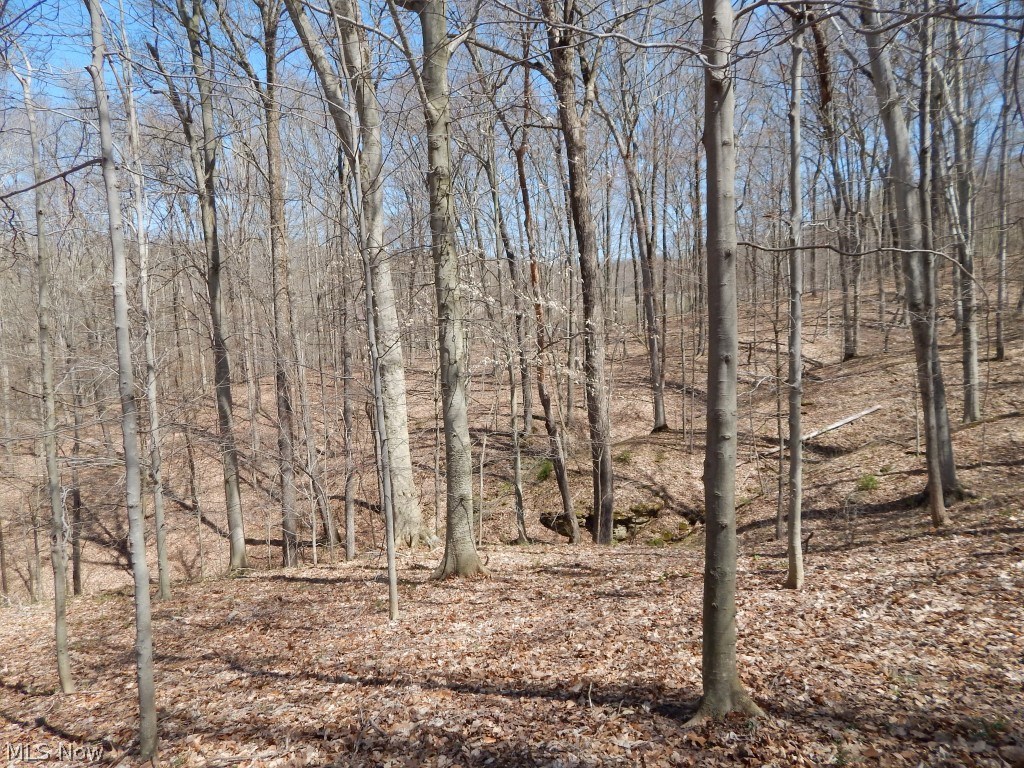 69 South Ridge Drive Pennsboro, WV 26415 - Photo 29 of 30