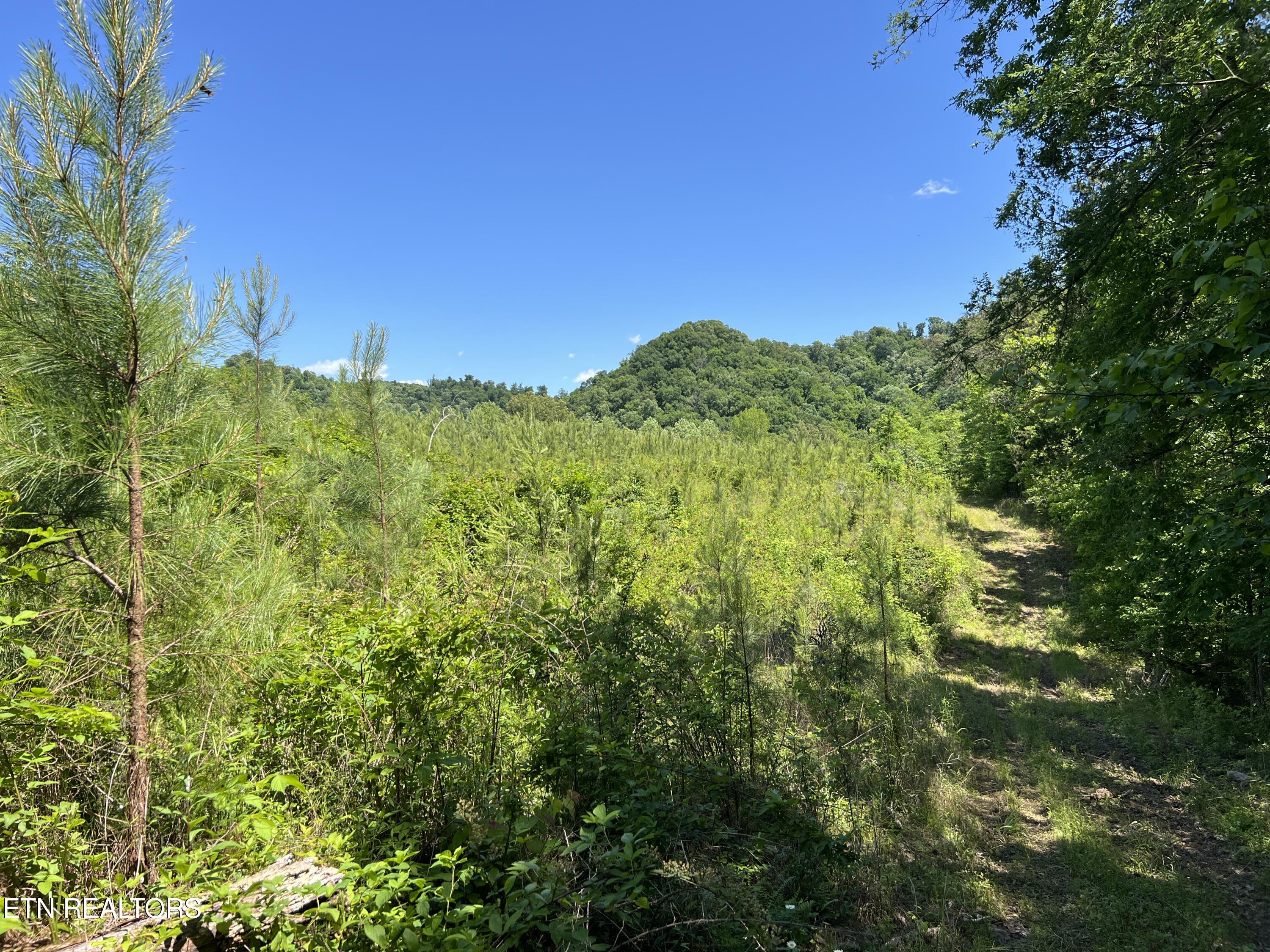 256 Atkins Road Madisonville, TN 37354 - Photo 11 of 20 IMG_5153