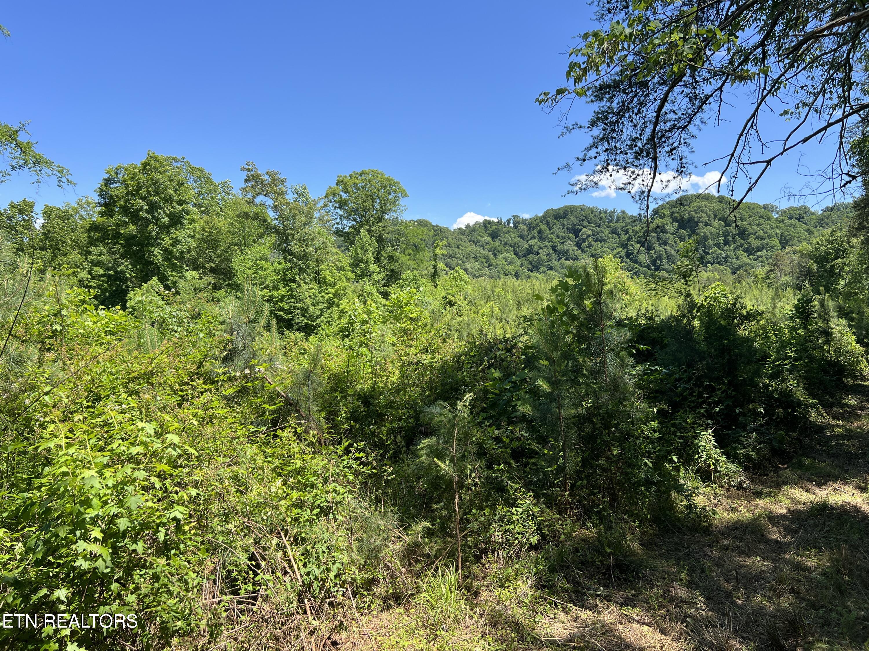 256 Atkins Road Madisonville, TN 37354 - Photo 12 of 20 IMG_5152