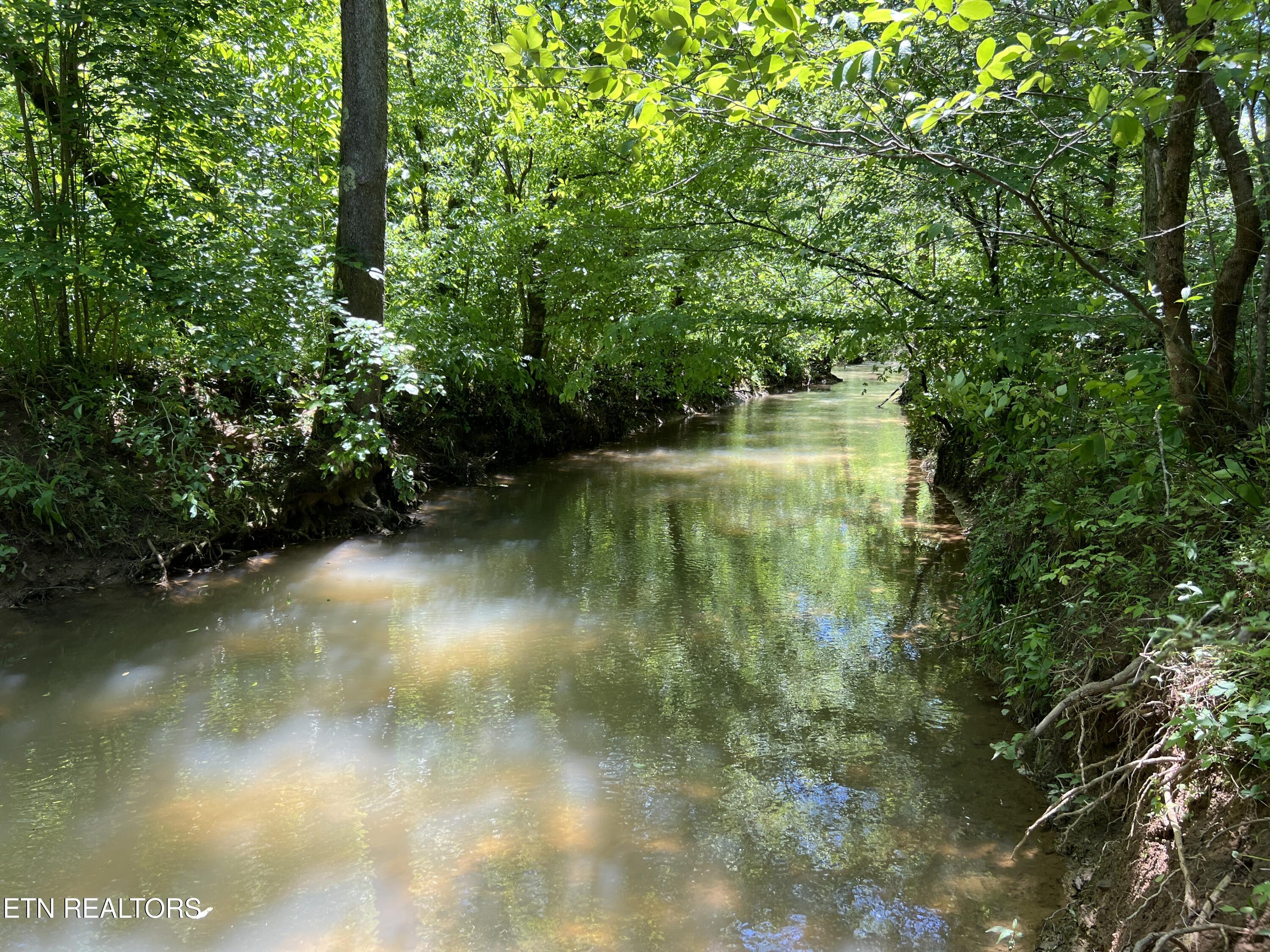 256 Atkins Road Madisonville, TN 37354 - Photo 13 of 20 IMG_5156