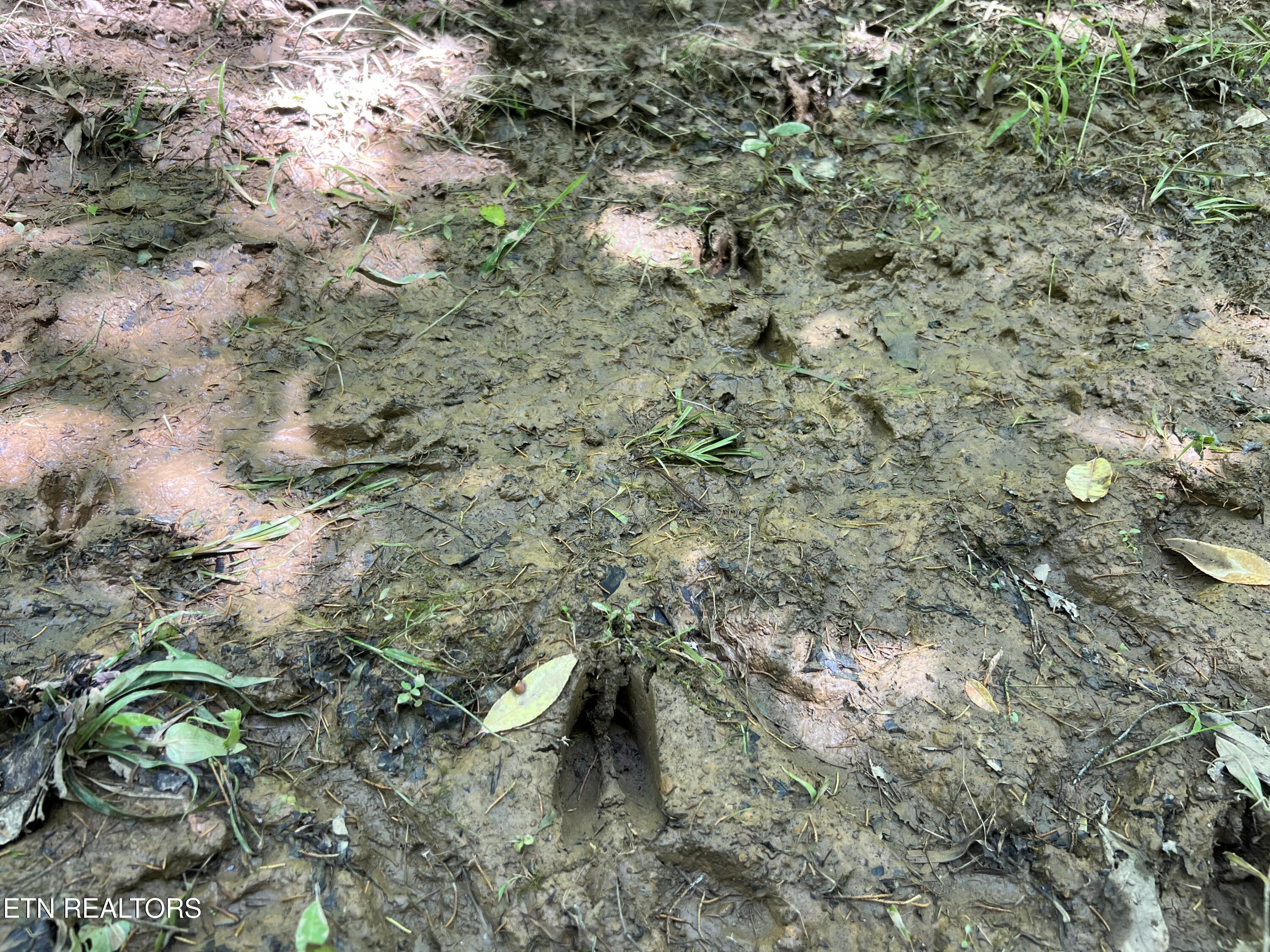 256 Atkins Road Madisonville, TN 37354 - Photo 14 of 20 IMG_5170