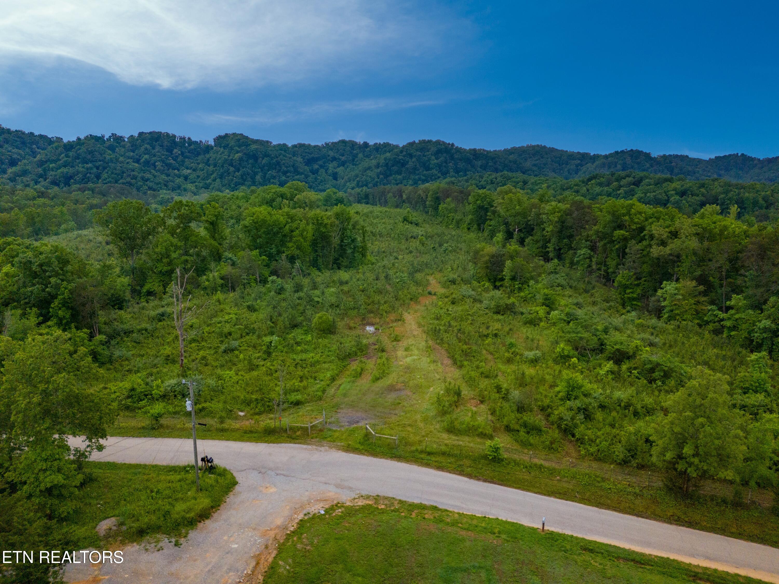 256 Atkins Road Madisonville, TN 37354 - Photo 15 of 20 DJI_20250519073159_0171_D