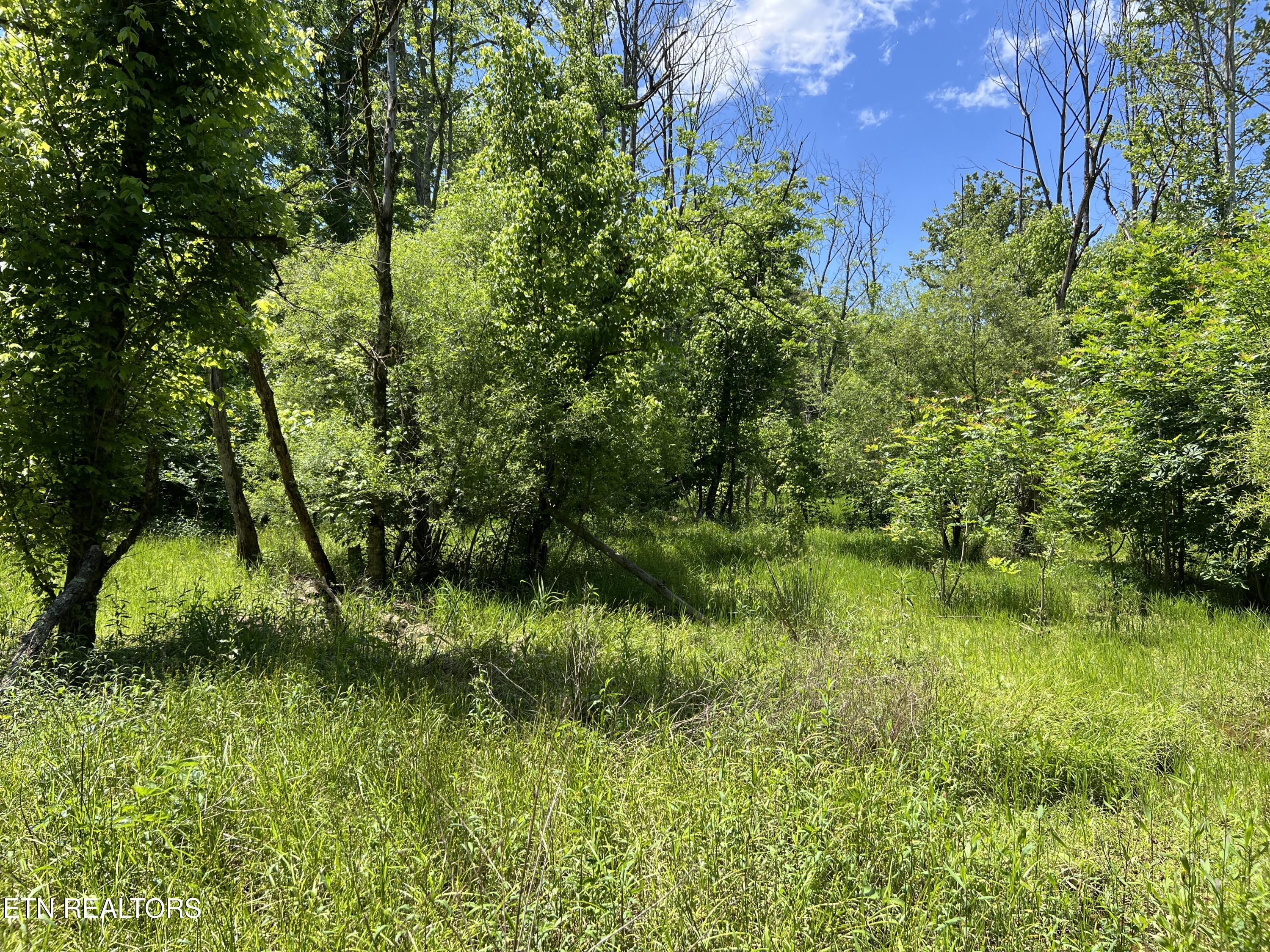 256 Atkins Road Madisonville, TN 37354 - Photo 16 of 20 IMG_5163