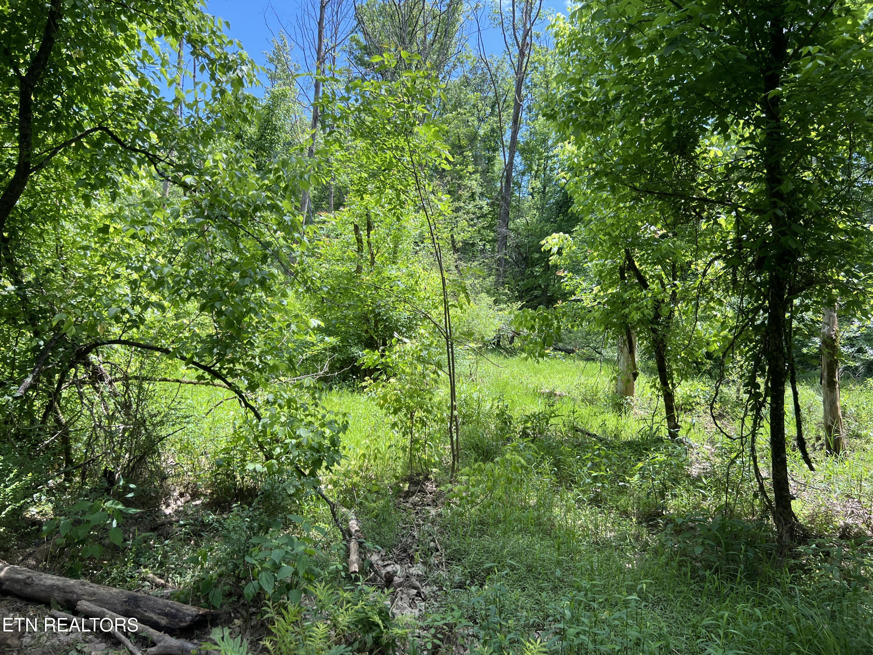 256 Atkins Road Madisonville, TN 37354 - Photo 17 of 20 IMG_5167