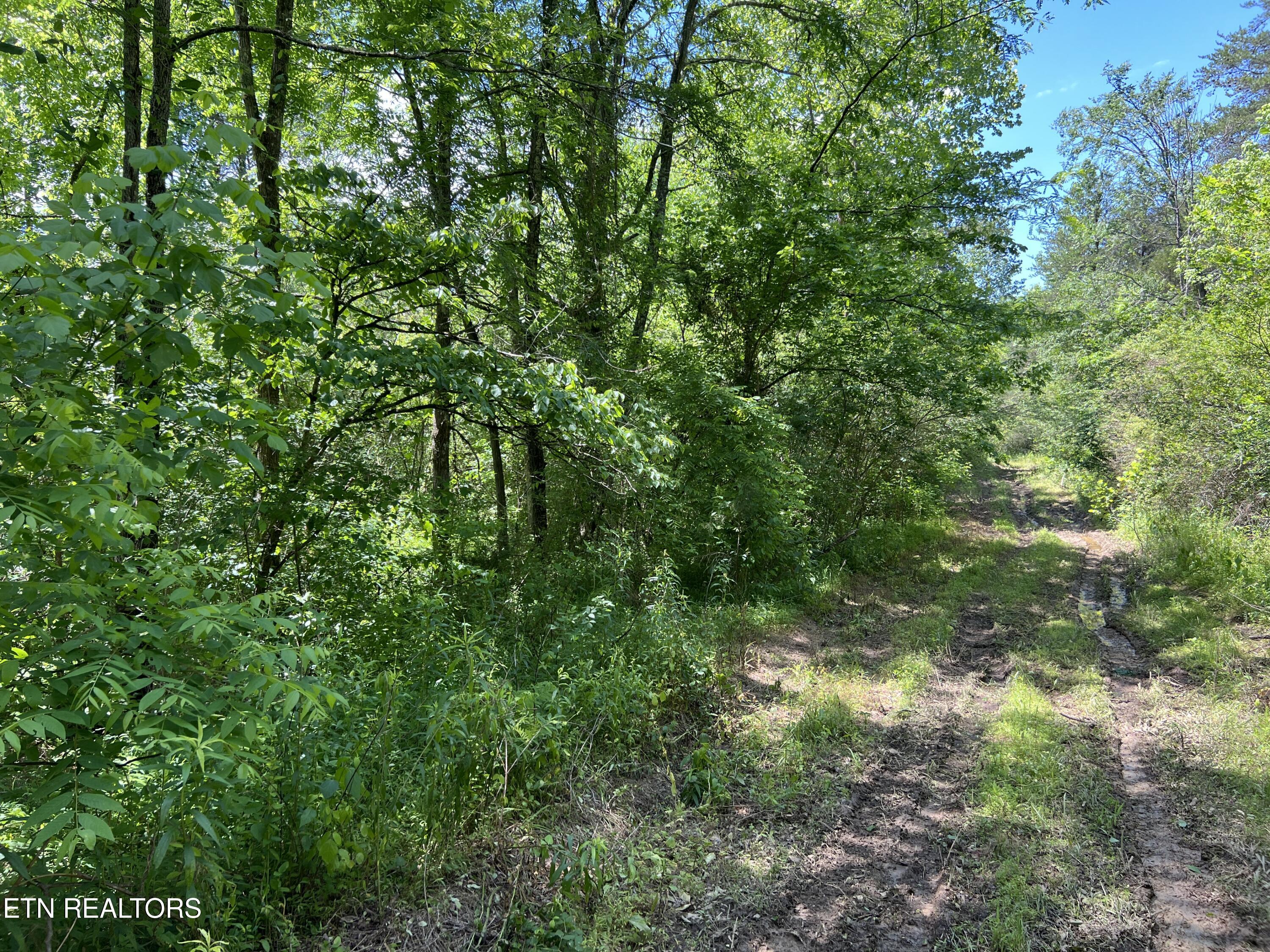 256 Atkins Road Madisonville, TN 37354 - Photo 18 of 20 IMG_5168