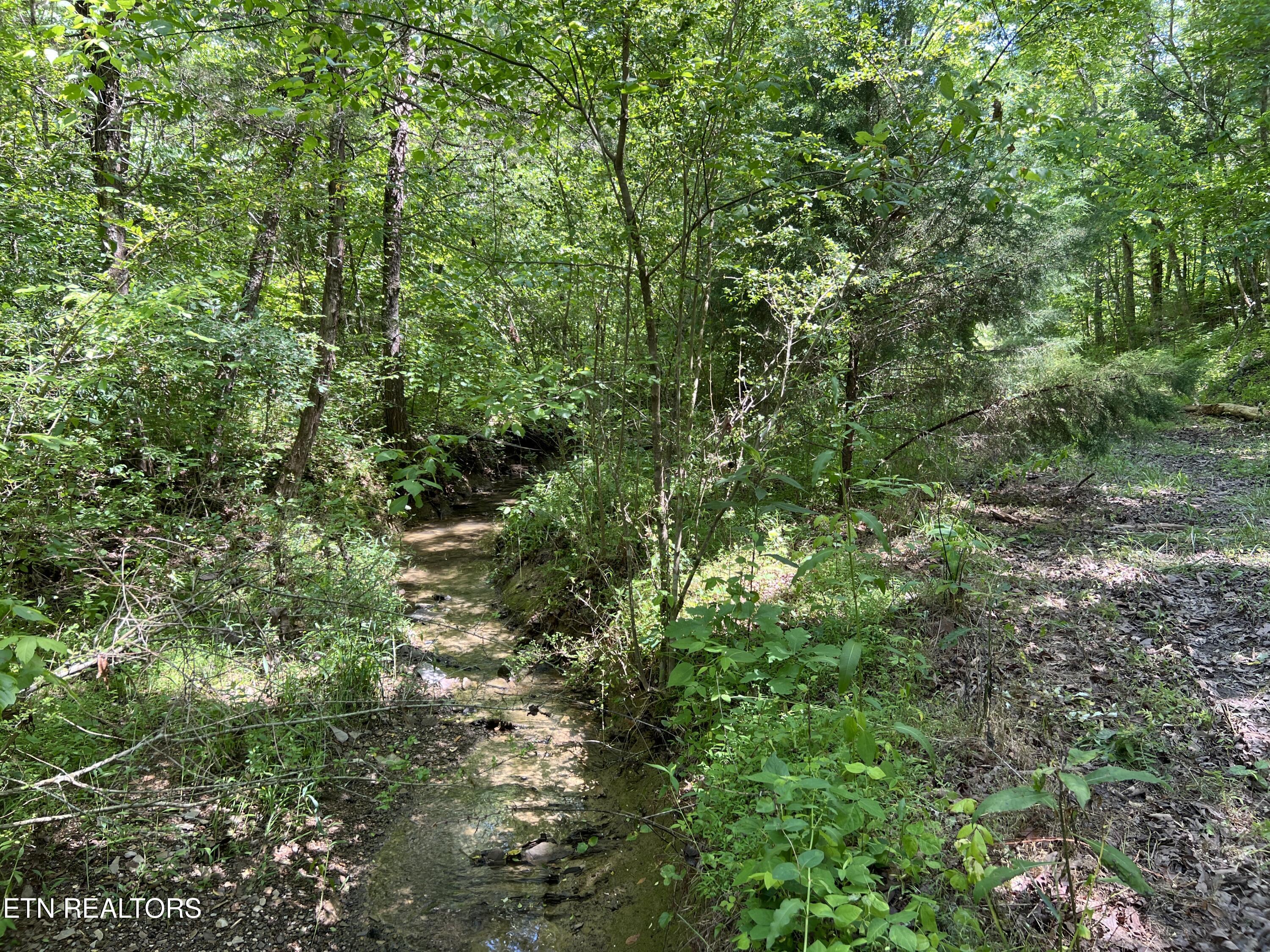 256 Atkins Road Madisonville, TN 37354 - Photo 19 of 20 IMG_5171