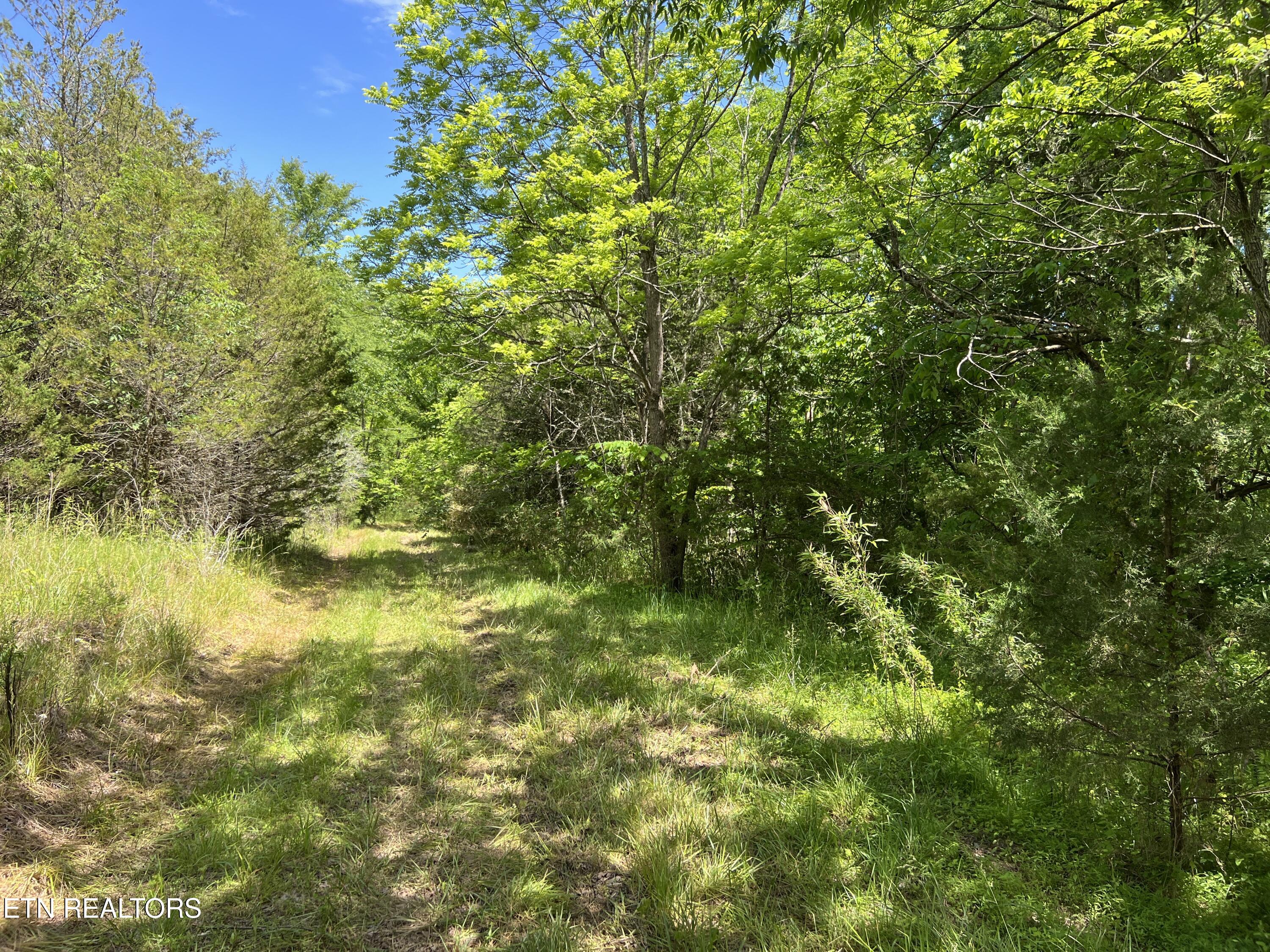 256 Atkins Road Madisonville, TN 37354 - Photo 20 of 20 IMG_5173