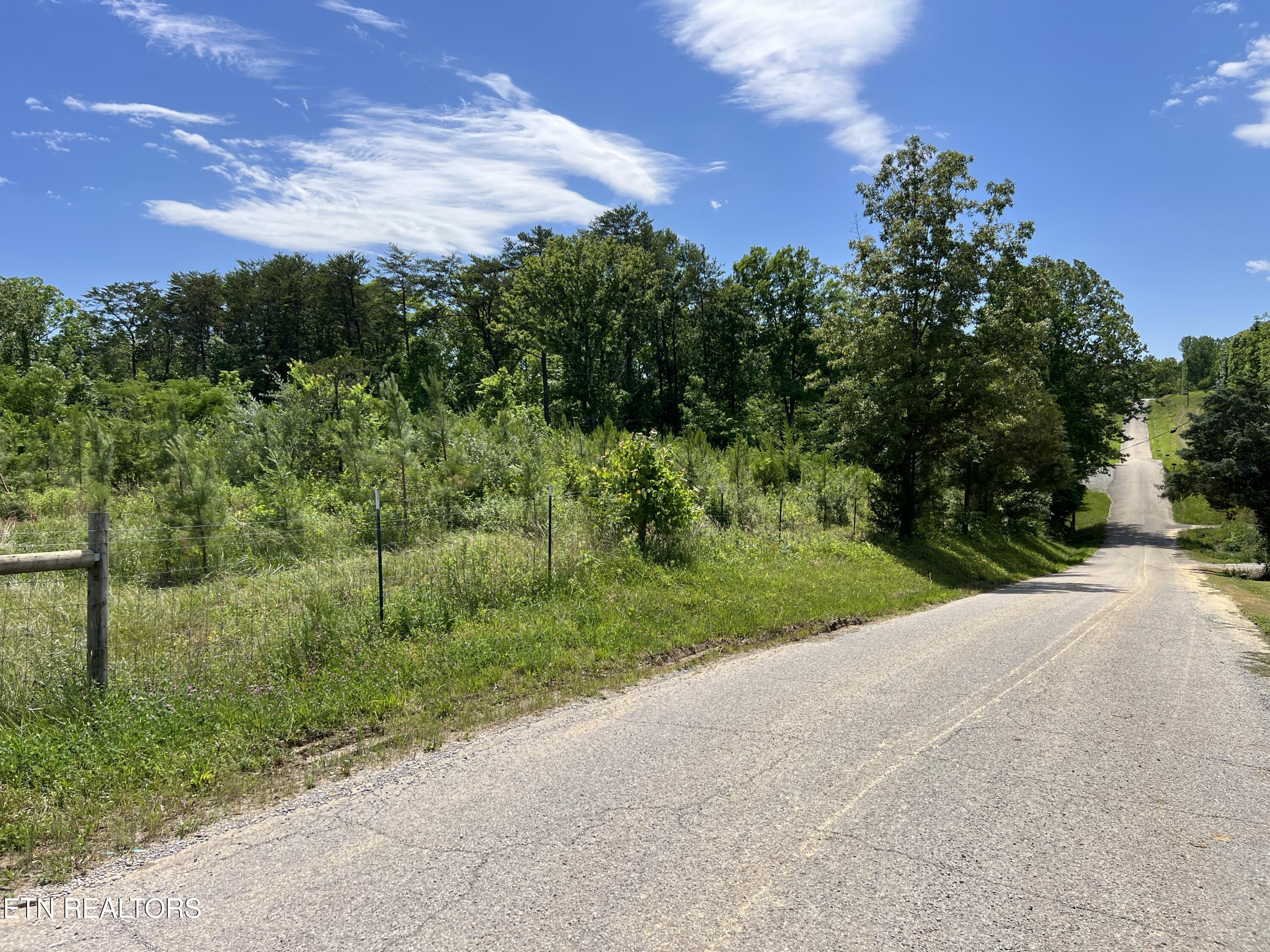 256 Atkins Road Madisonville, TN 37354 - Photo 4 of 20 IMG_5177