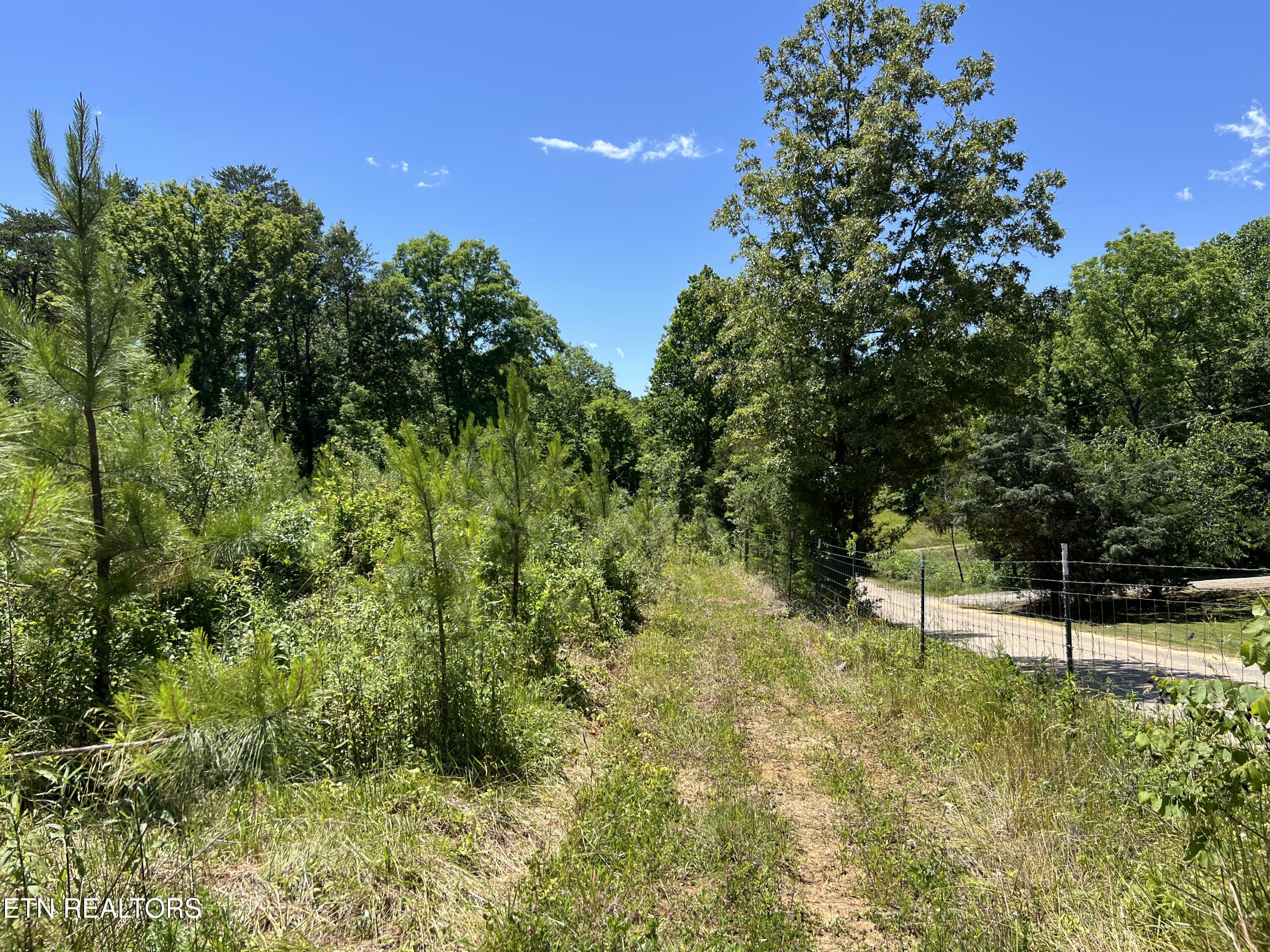 256 Atkins Road Madisonville, TN 37354 - Photo 5 of 20 IMG_5148