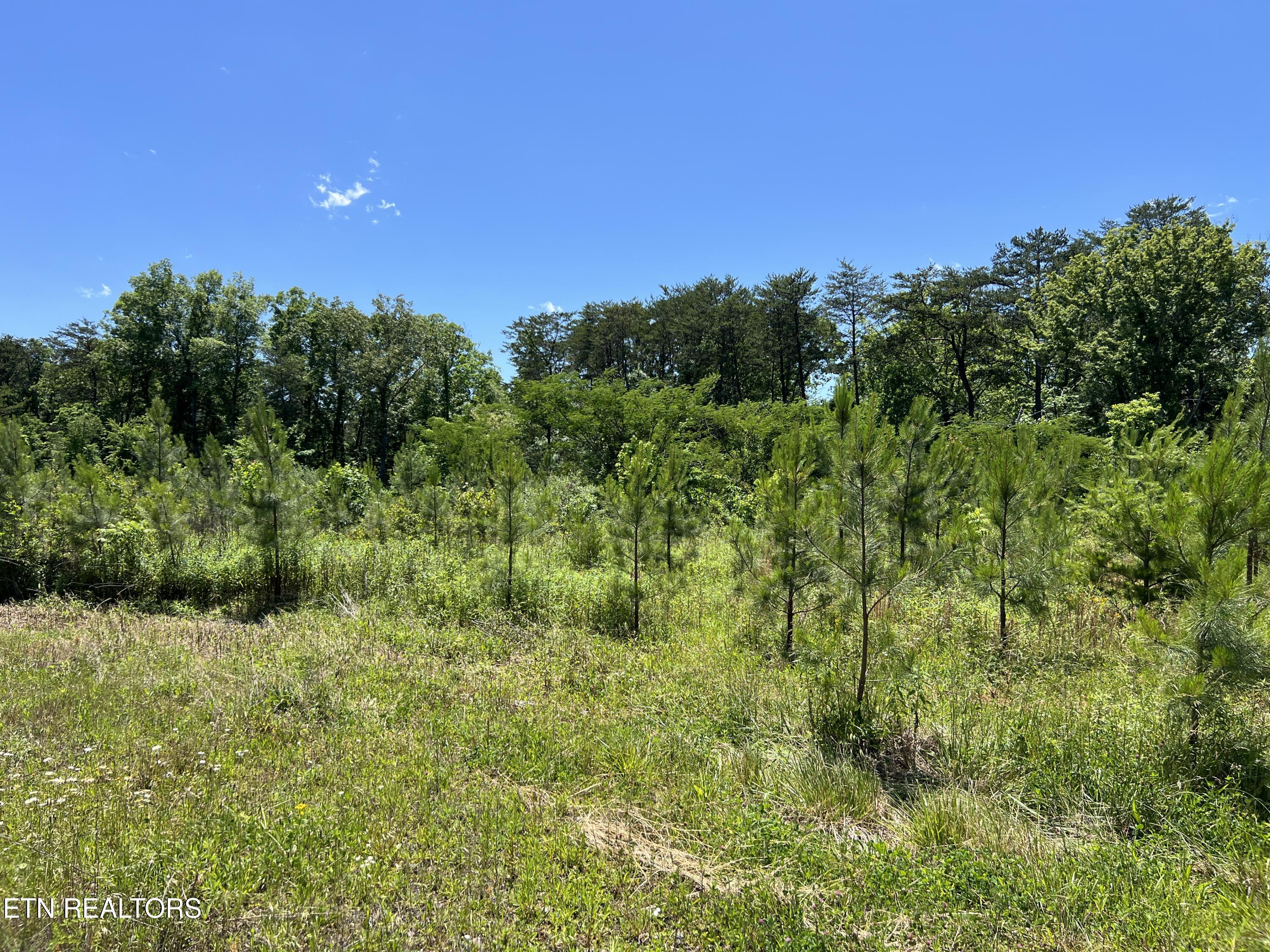 256 Atkins Road Madisonville, TN 37354 - Photo 6 of 20 IMG_5146