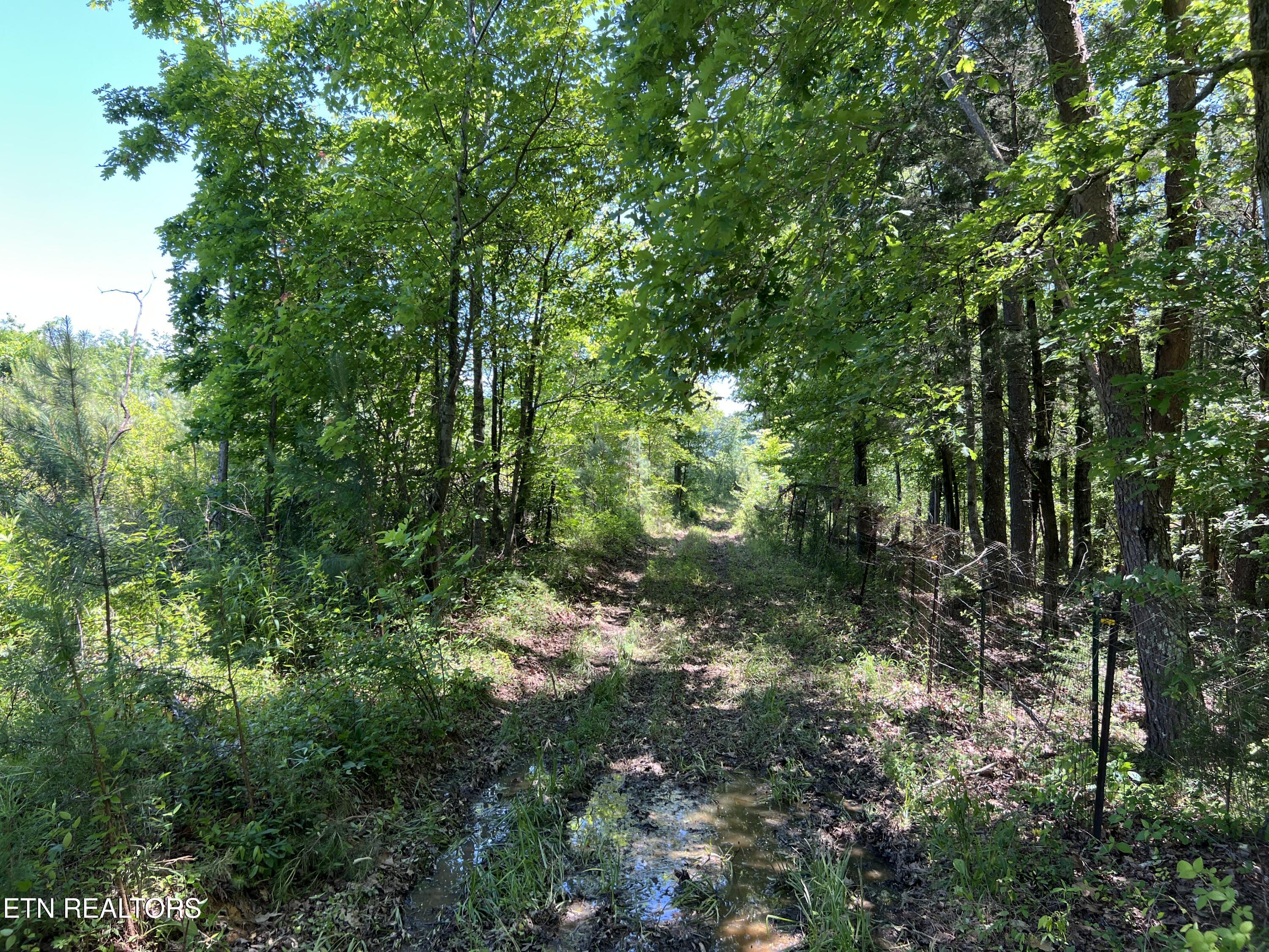 256 Atkins Road Madisonville, TN 37354 - Photo 7 of 20 IMG_5149