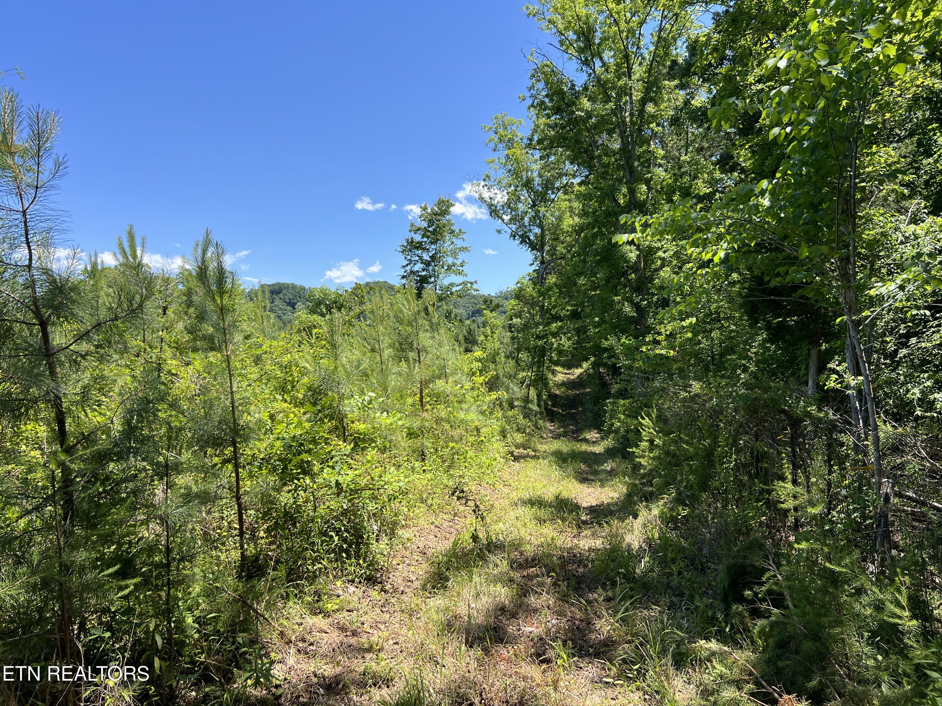 256 Atkins Road Madisonville, TN 37354 - Photo 8 of 20 IMG_5150