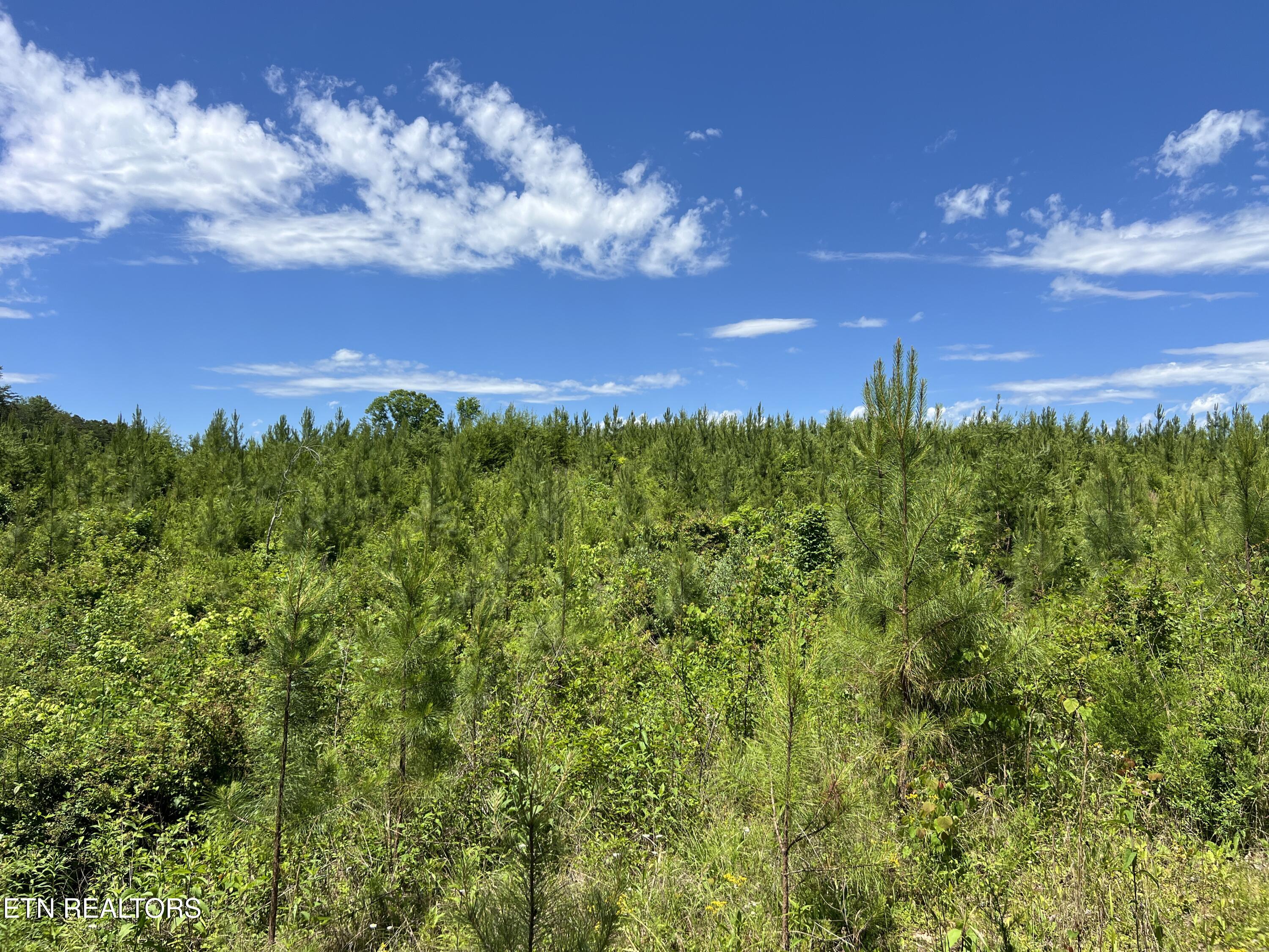 256 Atkins Road Madisonville, TN 37354 - Photo 9 of 20 IMG_5155