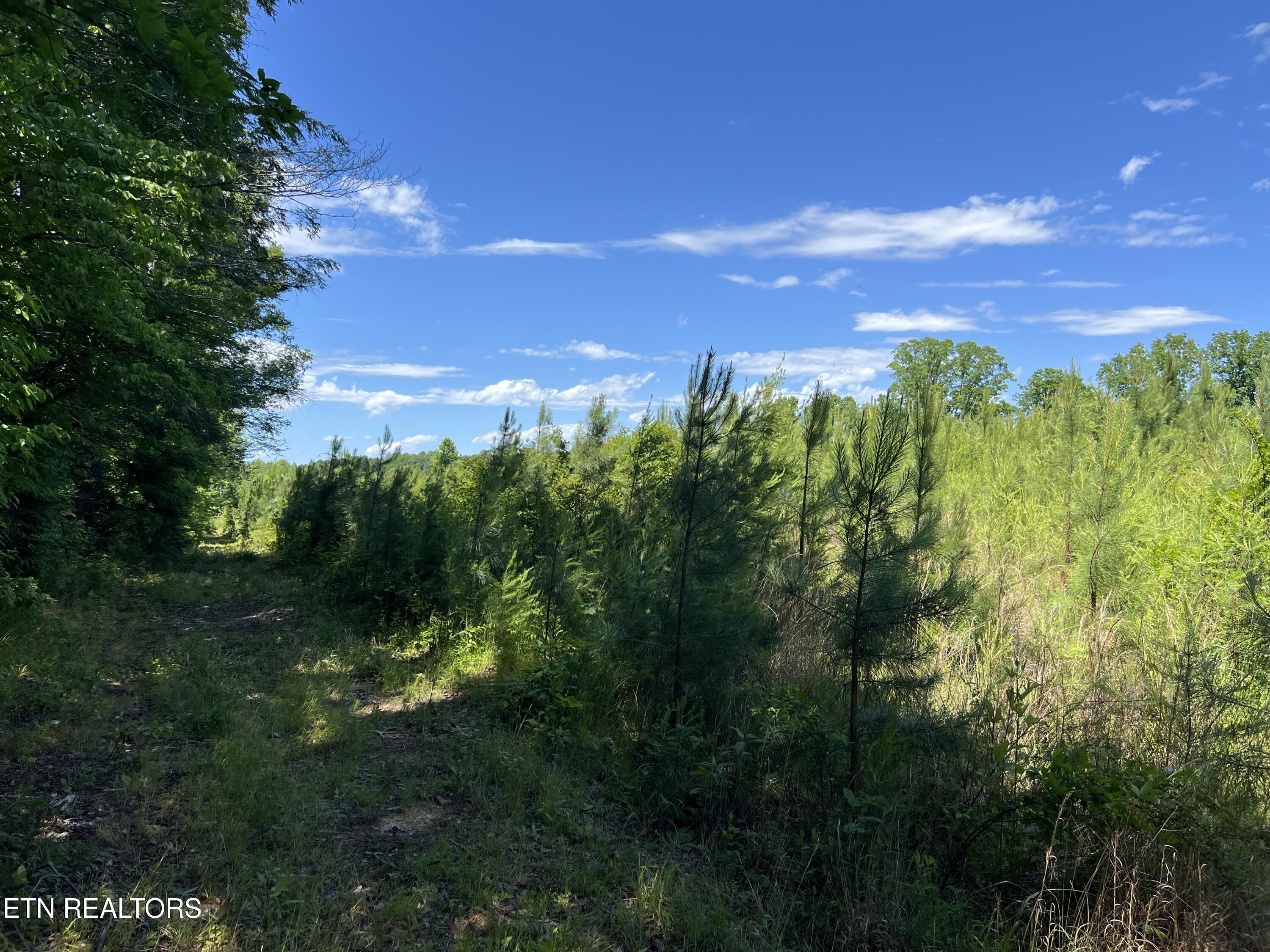 256 Atkins Road Madisonville, TN 37354 - Photo 10 of 20 IMG_5151