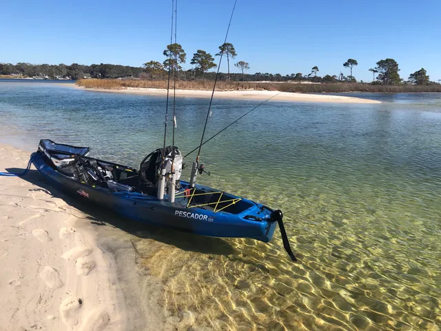 a room with furniture a rug and a window