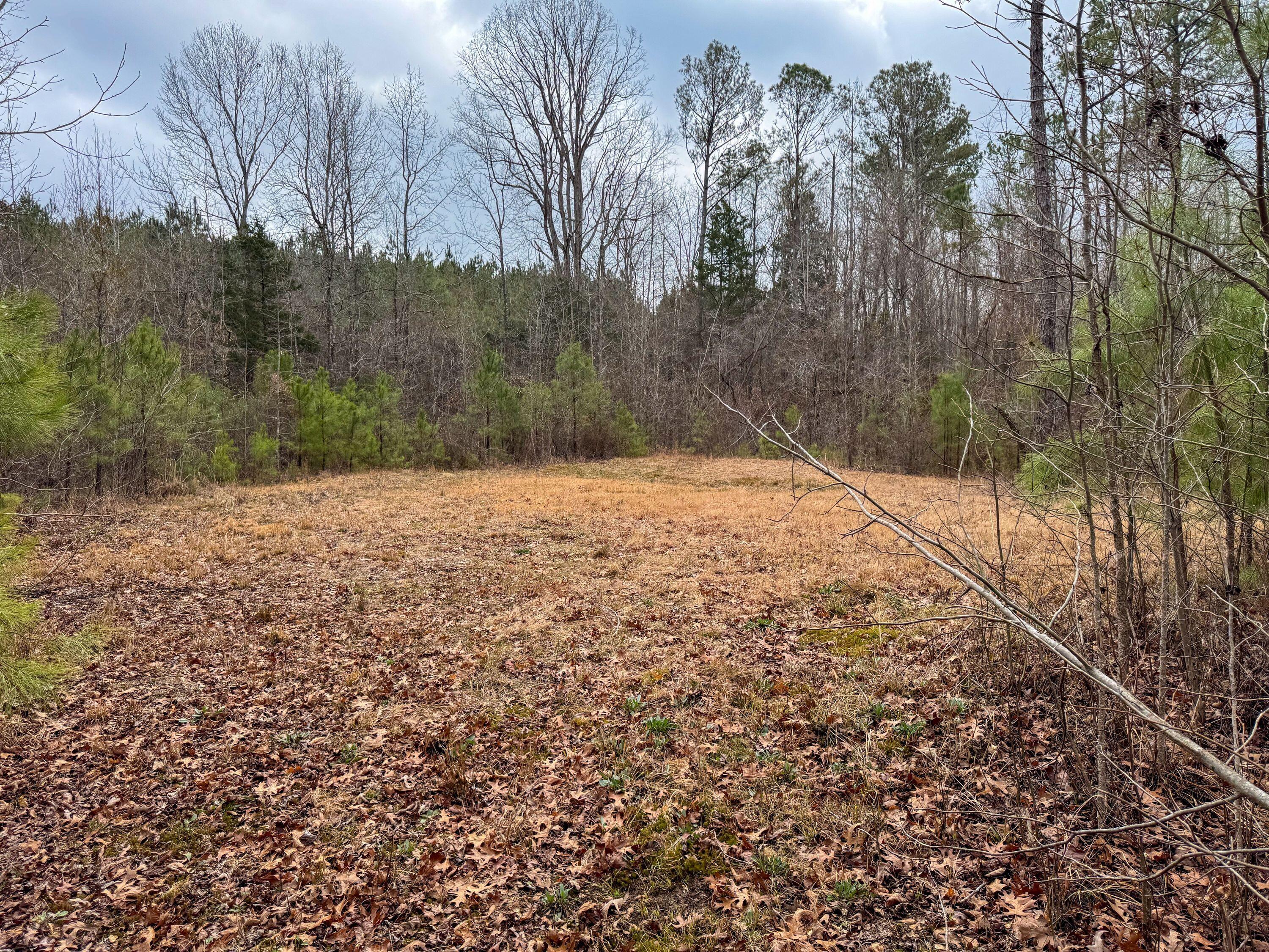 731 Wright Road Tremont, MS 38876 - Photo 62 of 76 Gallery Image 62
