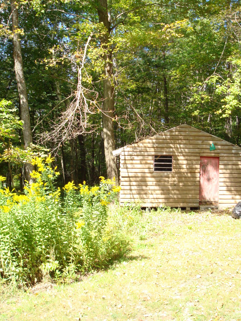20 George Carter Road Becket, MA 01223 - Photo 10 of 10 a view of swimming pool with an outdoor space