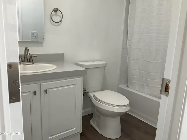 a bathroom with a sink and a toilet