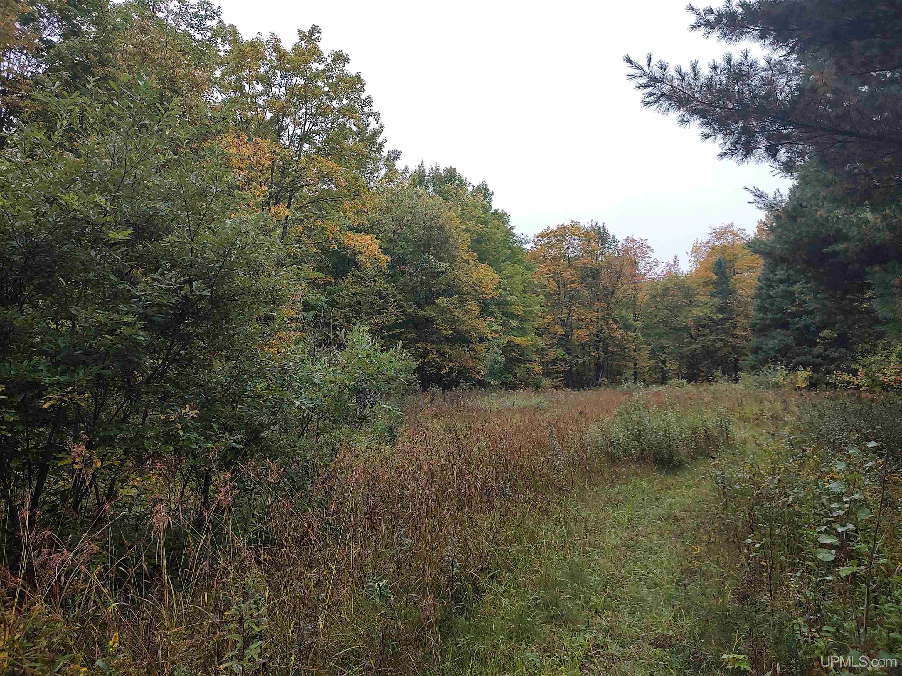 Tbd South Laird Road Pelkie, MI 49958 - Photo 9 of 25