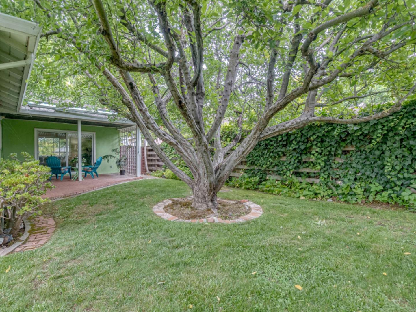 1122 Merrimac Drive Sunnyvale, CA 94087 - Photo 24 of 26 a view of a backyard with table and chairs plants and large tree