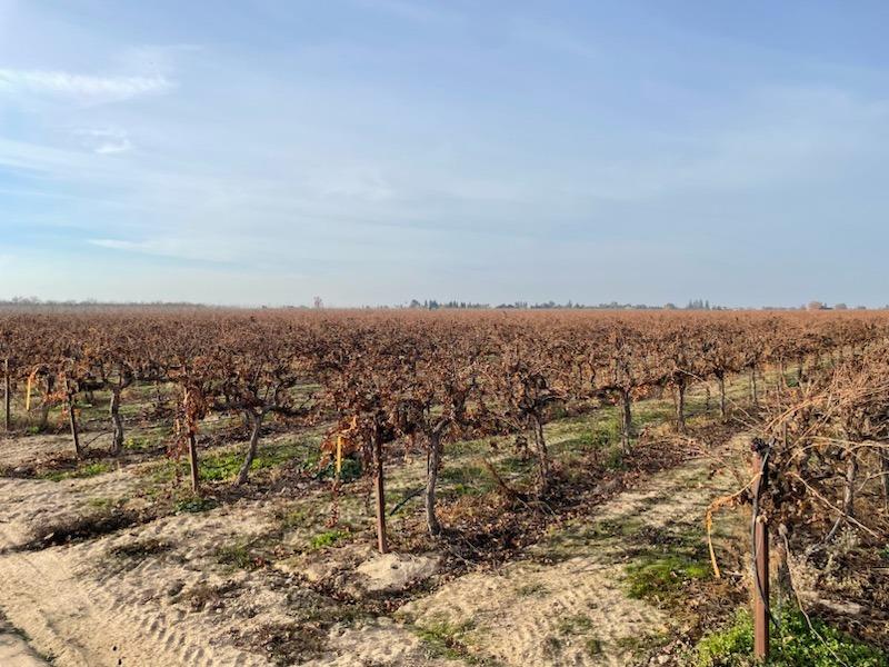 13121 Alpine Road Lodi, CA 95240 - Photo 1 of 1 a view of a city