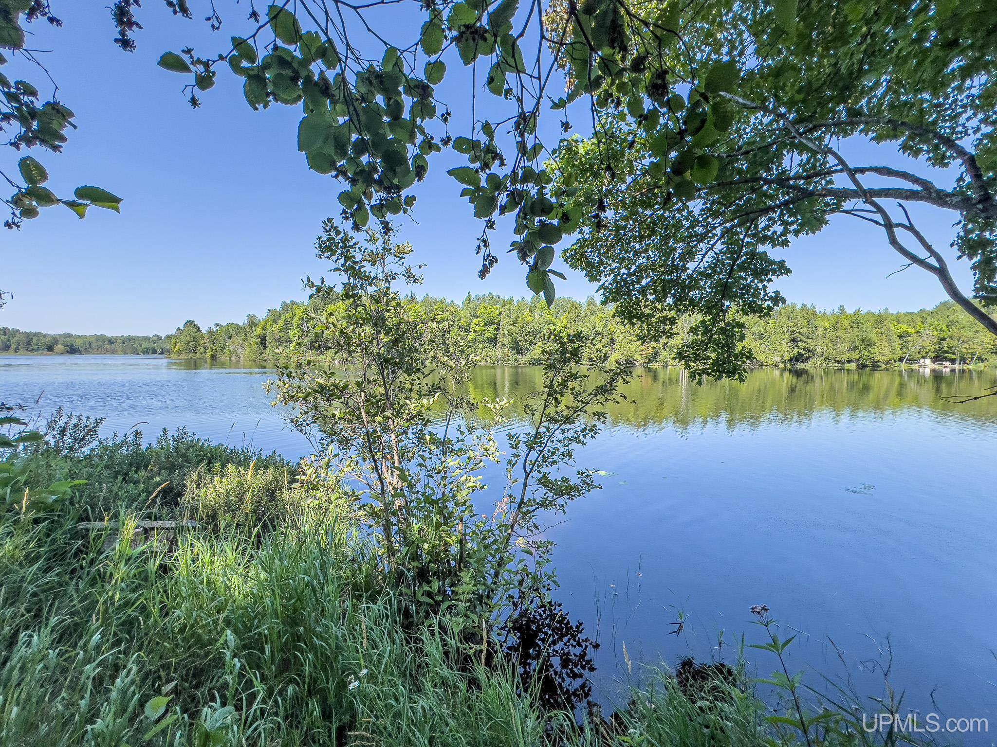 Tbd Tbd Chaney Lake Road Bessemer, MI 49911 - Photo 4 of 22