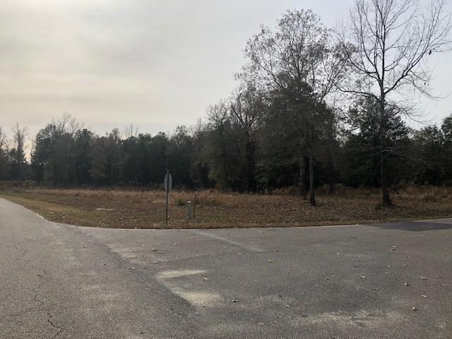 Lot 1 My Road Eutawville, SC 29048 - Photo 2 of 10 IMG_2365