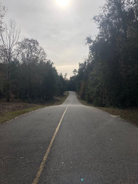 Lot 1 My Road Eutawville, SC 29048 - Photo 3 of 10 IMG_2384