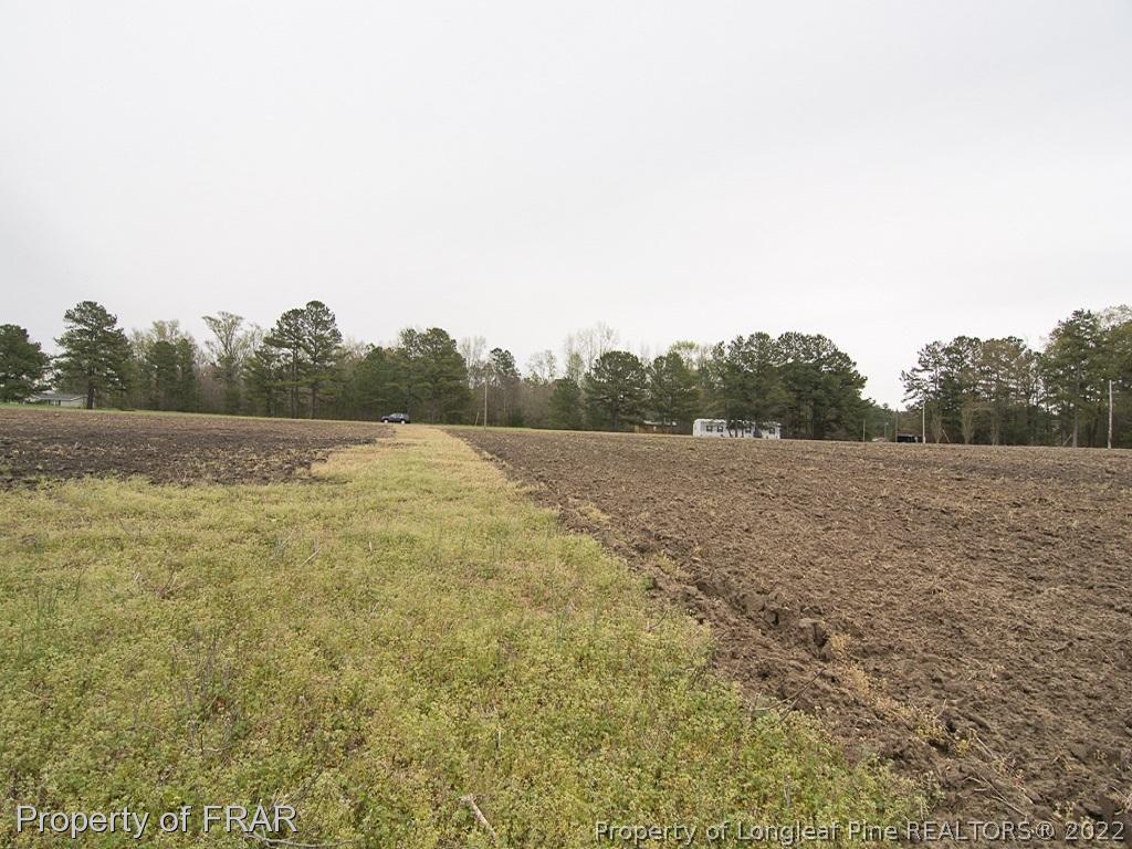 Dalrymple Road Cameron, NC 28326 - Photo 15 of 18 a view of a field with trees in background