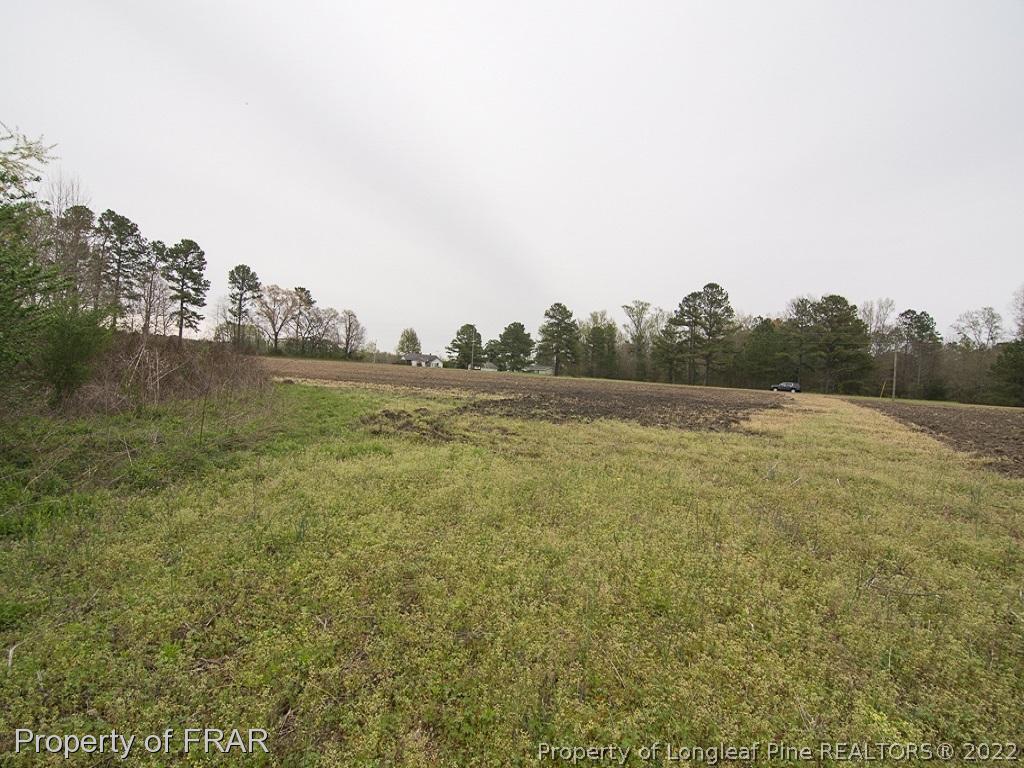 Dalrymple Road Cameron, NC 28326 - Photo 16 of 18 a view of a field with an ocean