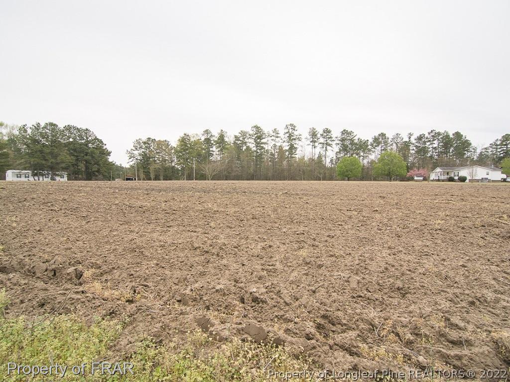 Dalrymple Road Cameron, NC 28326 - Photo 17 of 18 a view of an outdoor space and a yard