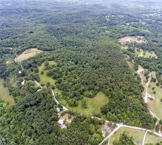 a view of a forest with a street