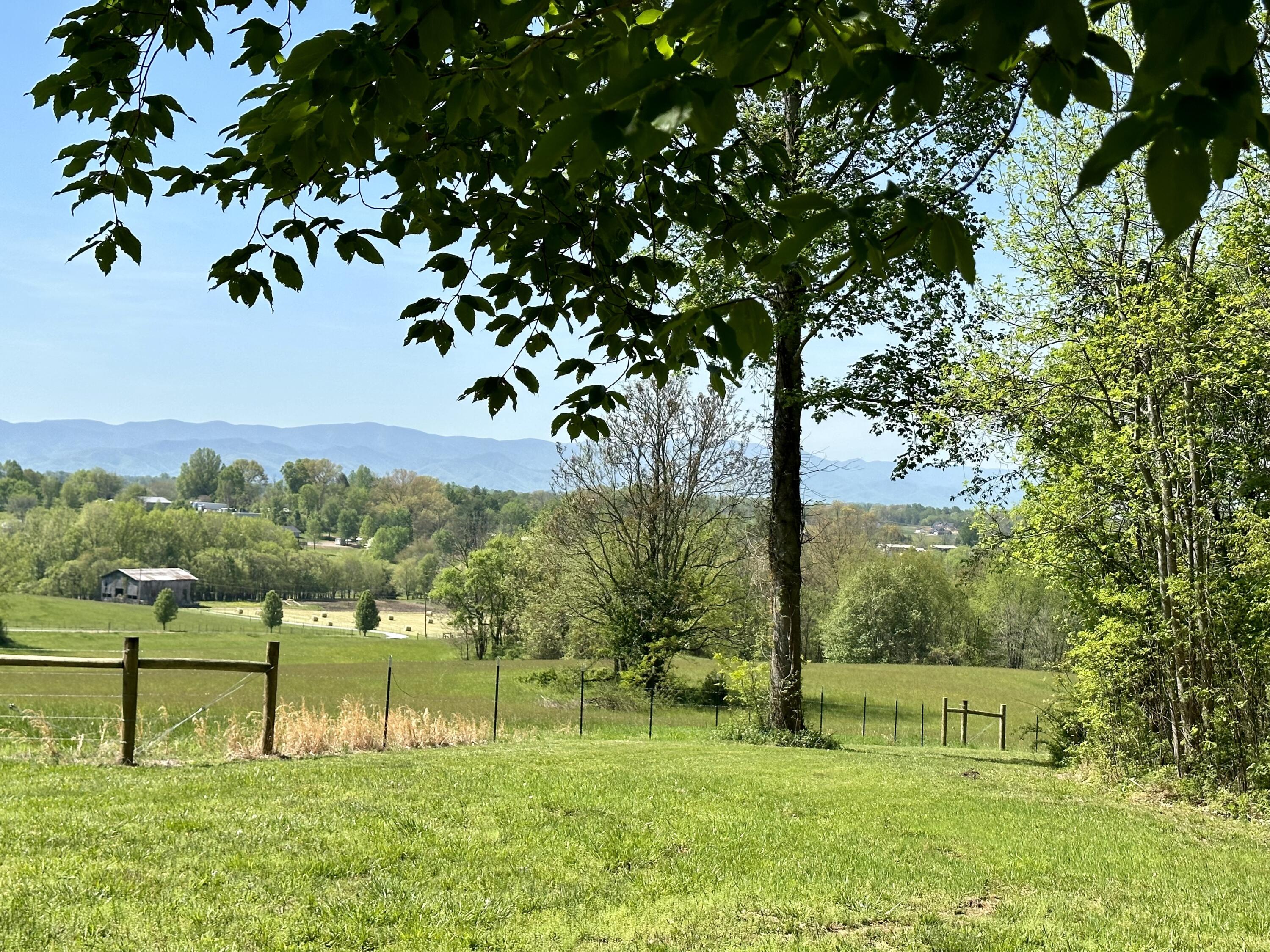 152-150 John Howze Road Jonesborough, TN 37659 - Photo 26 of 104 IMG_2929