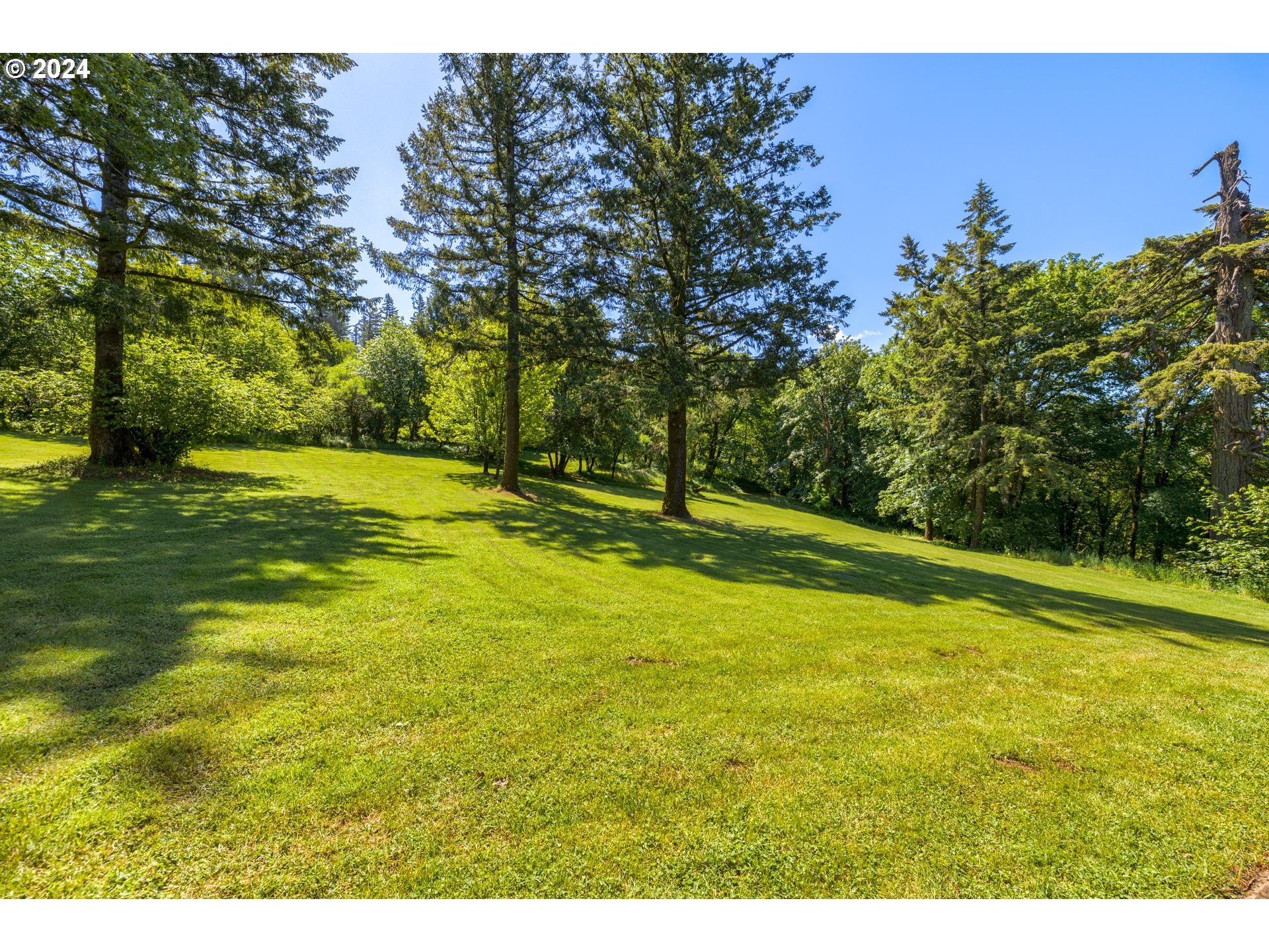 19100 Southwest Finnigan Hill Road Newberg, OR 97132 - Photo 34 of 48 a view of an outdoor space and a yard