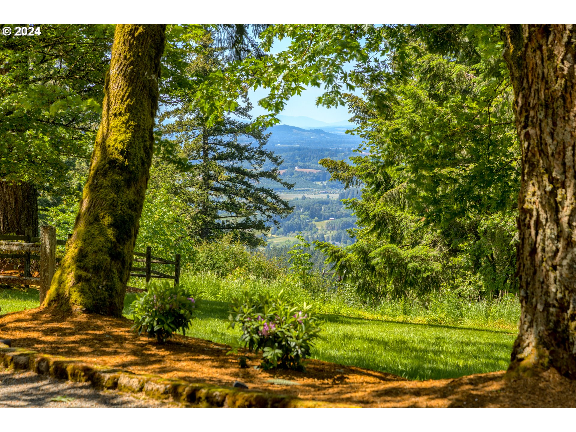 19100 Southwest Finnigan Hill Road Newberg, OR 97132 - Photo 38 of 48 a view of a yard with plants and large trees