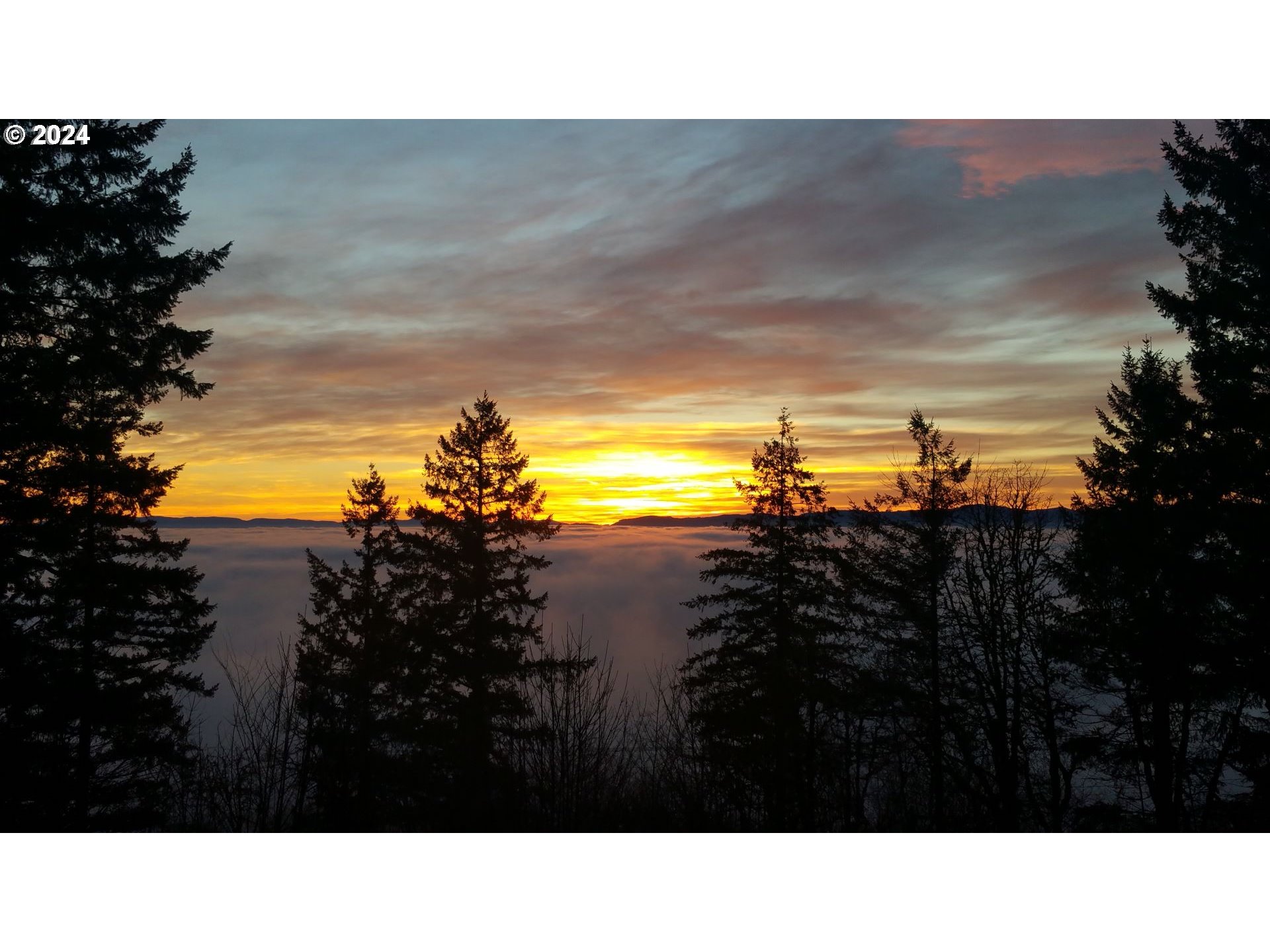 19100 Southwest Finnigan Hill Road Newberg, OR 97132 - Photo 46 of 48 a black and white photo of a lake