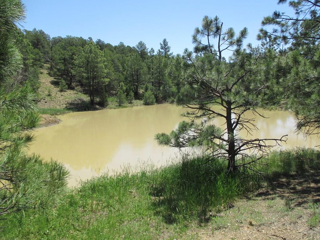 0 Co Road Trinidad, CO 81082 - Photo 57 of 64 Gallery Image 57