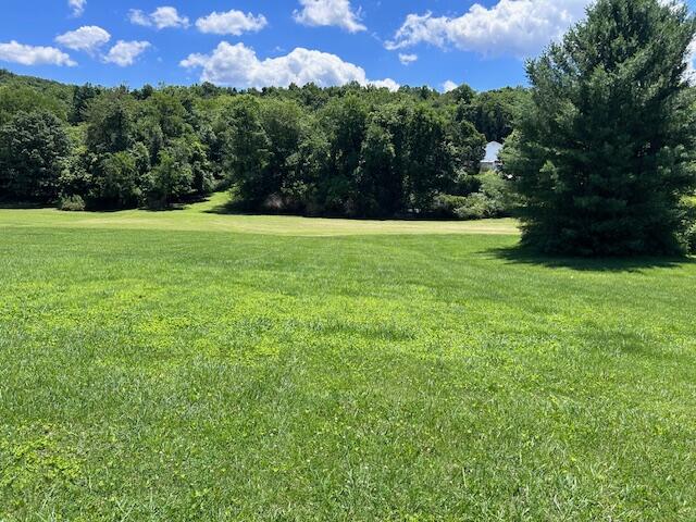 730 Griffith Highway Jasper, TN 37347 - Photo 4 of 13 730 RA Griffith Hwy 12