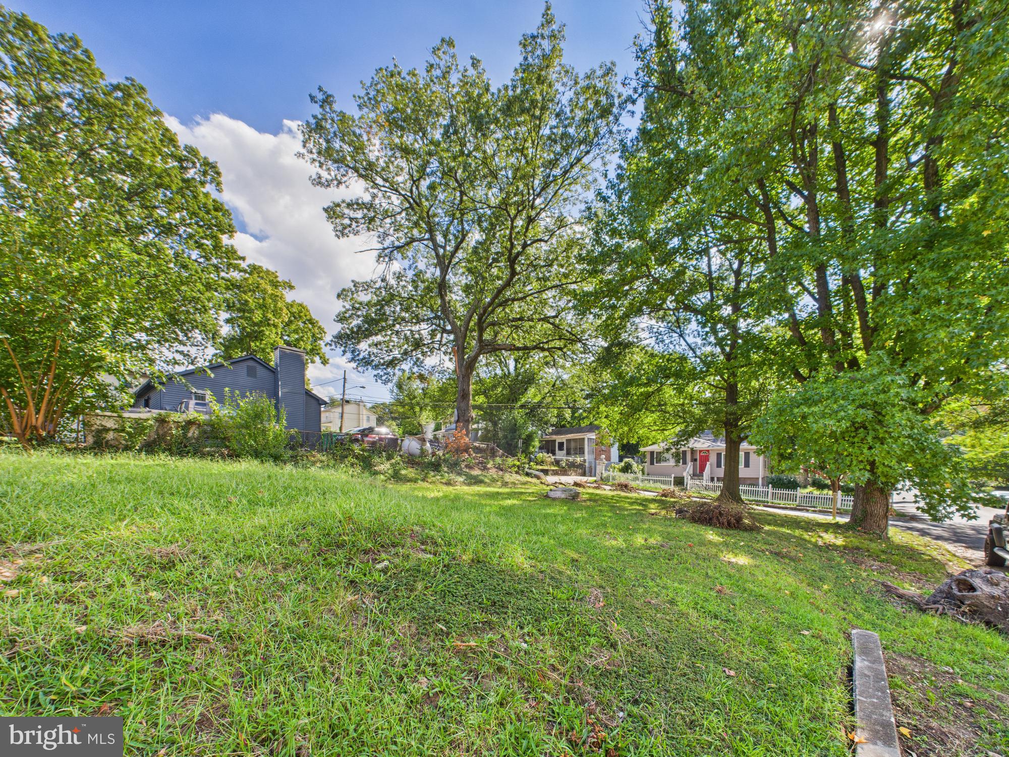944 Balboa Avenue Capitol Heights, MD 20743 - Photo 42 of 49 a view of a park with large trees