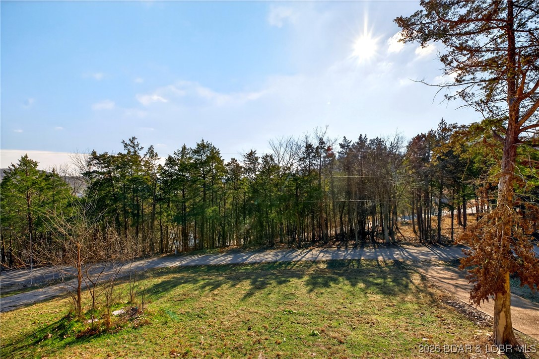 43 Good Neighbors Loop Camdenton, MO 65020 - Photo 16 of 68 Front Yard