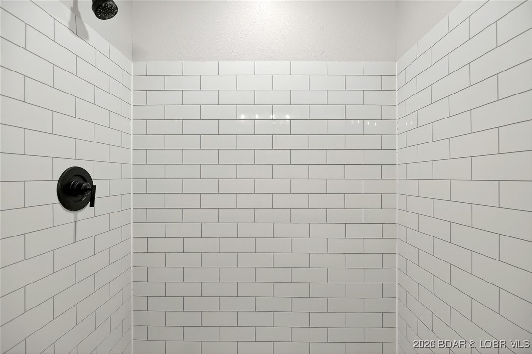43 Good Neighbors Loop Camdenton, MO 65020 - Photo 24 of 68 Main Level Bathroom Shower