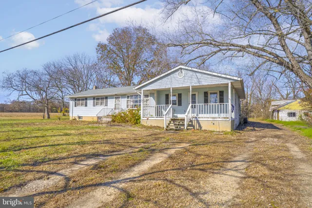 a view of a house with a large tree and a yard