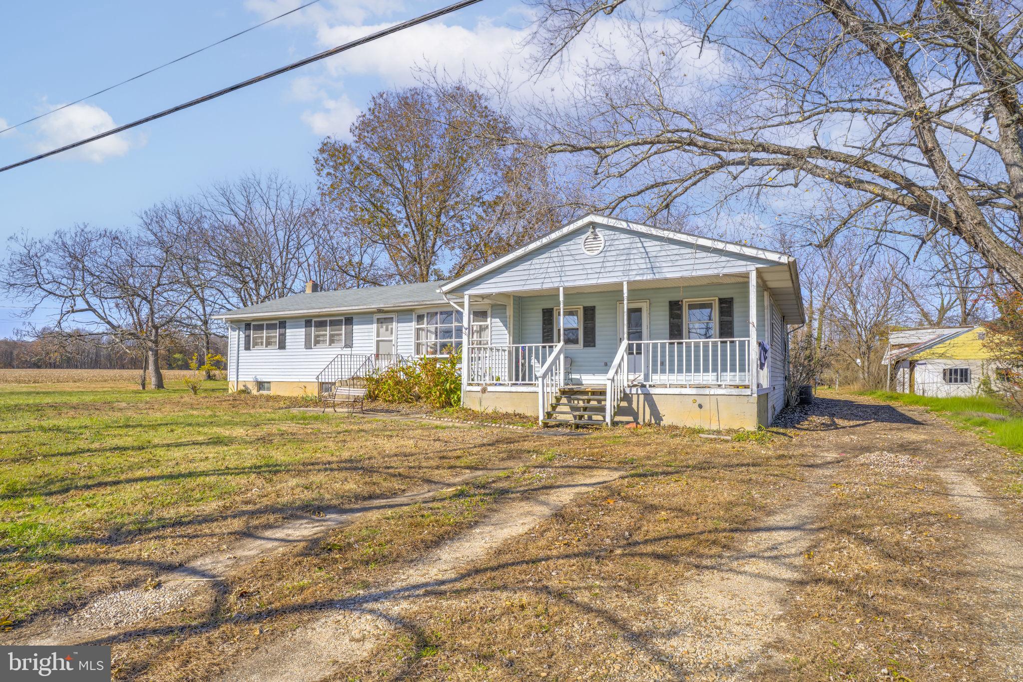 a view of a house with a large tree and a yard