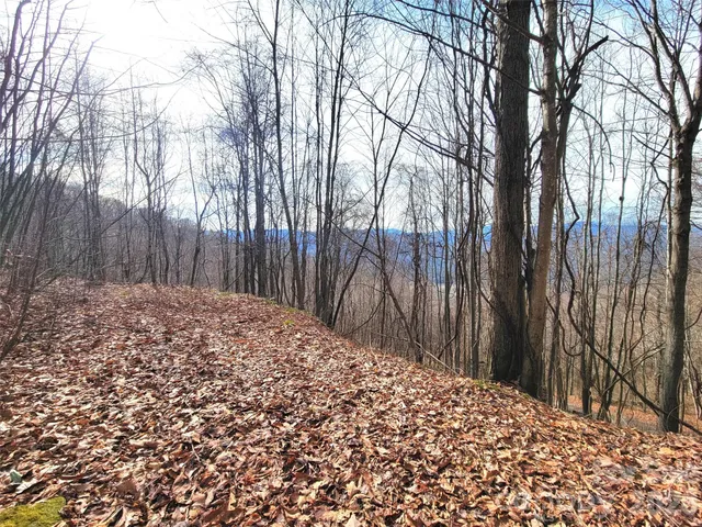 $18,000 | 75 Rimrock Ridge, Unit I, Clyde, NC 28721